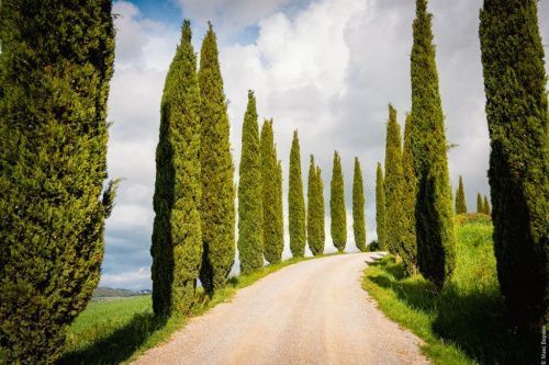 Глава 7. Природа Тосканы – сладкий сон умноженный на вечность.