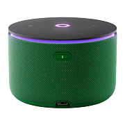 Умная колонка Яндекс Станция Мини 3 Про с Алисой и Zigbee, зеленая YAM3P-GRN