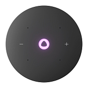 Умная колонка Яндекс Станция Мини 3 Про с Алисой и Zigbee, черная YAM3P-BLK