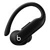 Беспроводные наушники Beats Powerbeats Pro 2 ANC, черный MX723PA/A