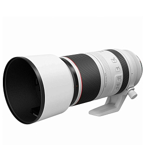 Объектив Canon RF 100-500mm f/4.5-7.1L IS USM CANO-223