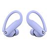 Беспроводные наушники Beats Powerbeats Pro 2 ANC, фиолетовый BPW2-PL