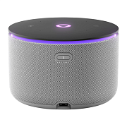 Умная колонка Яндекс Станция Мини 3 Про с Алисой и Zigbee, серая YAM3P-GRY