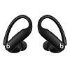 Беспроводные наушники Beats Powerbeats Pro 2 ANC, черный MX723PA/A