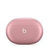 Беспроводные наушники Beats Studio Buds +, розовый BSBP-PNK