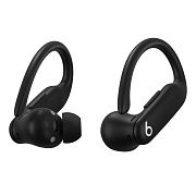 Беспроводные наушники Beats Powerbeats Pro 2 ANC, черный MX723PA/A