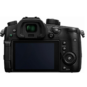 Фотоаппарат Panasonic Lumix DC-GH5s RUS Body Black, Русское меню DC-GH5S