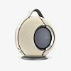 Портативная колонка Devialet Mania | Sandstorm BT369