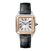 Часы Cartier Santos-Dumont Large W2SA0037 W2SA0037