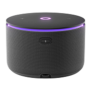 Умная колонка Яндекс Станция Мини 3 Про с Алисой и Zigbee, черная YAM3P-BLK