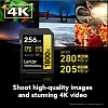 Карта памяти Lexar Professional 1800x UHS-II SDXC 256Gb LEXAR256