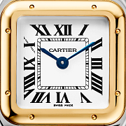 Часы Panthere De Cartier Yellow Gold Medium W2PN0019