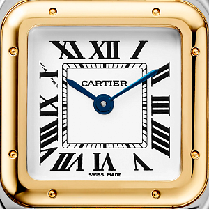 Часы Panthere De Cartier Yellow Gold Medium W2PN0019