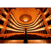 Объектив Sony FE 12-24mm f/2.8 GM SEL1224GM