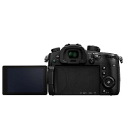 Фотоаппарат Panasonic Lumix DC-GH5s RUS Body Black DC-GH5S