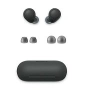 Беспроводные наушники Sony WF-C700 Black WF700-4
