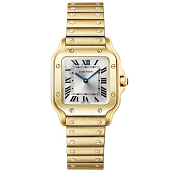 Часы Cartier Santos Small WGSA0107
