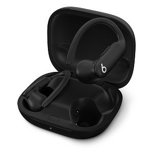 Беспроводные наушники Beats Powerbeats Pro 2 ANC, черный MX723PA/A