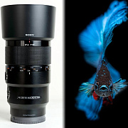 Объектив Sony FE 90mm f/2.8 Macro G OSS SYO-881
