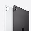 Планшет Apple iPad Pro 11", M4 (2024) 256 ГБ, Wi-Fi, чёрный космос | space black IPDP4-1