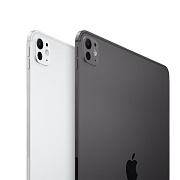 Планшет Apple iPad Pro 13", M4 (2024) 256 ГБ, Wi-Fi + LTE, чёрный космос | space black IPDP4-21